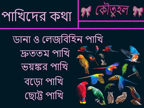 bird vedio(পাখিদের কথা)