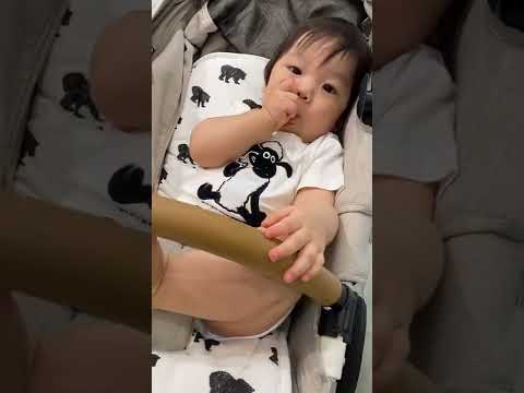 お店の中に入るの嫌いみたい🤣/ Babies who don't like to go inside the store. #Short