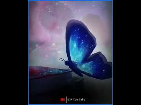 ||New💔bodo😭short video||new bodo whatsapp status video🥀💔#new