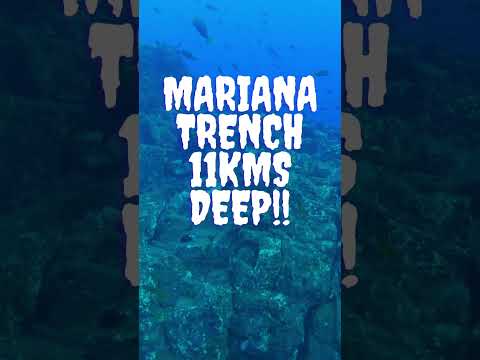 Deepest Point on Earth!!! #mariana #oceansecrets #facts #ocean #deepest #top #amazingfacts #amazing