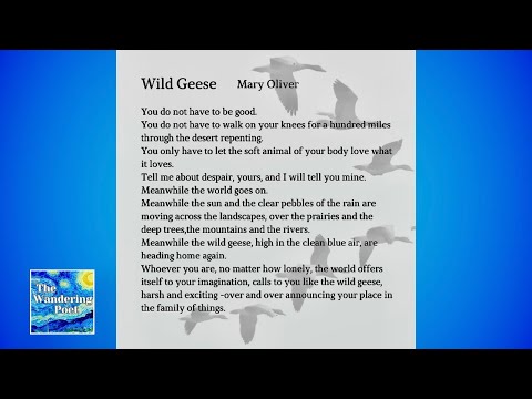 Mary Oliver "WILD GEESE" poetry reading | wandering poet cafe