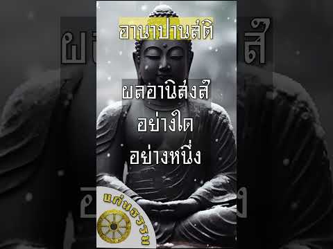 อานาปานสติ #buddha #ghost #horror #คนตื่นธรรม #คนตื่นธรรม #anime #พระเครื่อง #พระเครื่อง #พระไตรปิฎก