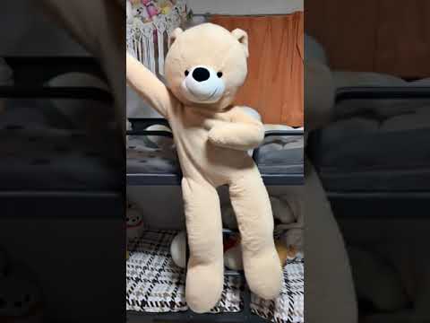 クマのぬいぐるみダンス