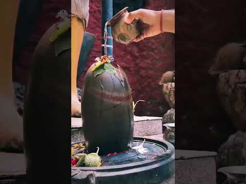 Om Hara Hara Mahadeva |  whatsapp status | instagram story | lord shiva