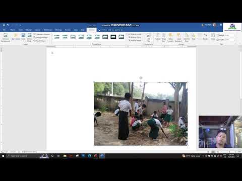 MICROSOFT WORD LESSON - 4 ( INPUT PICTURE )