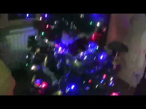christmas tree probably one of best I have done