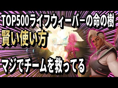 TOP500LWライフウィーバーの命の樹賢い使い方(TOP500 TORB)