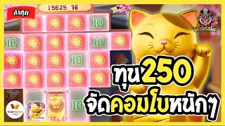 เว็บตรงไม่ผ่านเอเย่นต์ สมัครเว็บตรง สมัครสล็อตเว็บตรง | สล็อตแมวทอง (ทุน 250) คอมโบบวกเป็นหมื่นนน 🔥