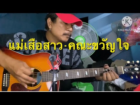 แม่เสือสาว - คณะขวัญใจ | ชินนักดนตรี cover