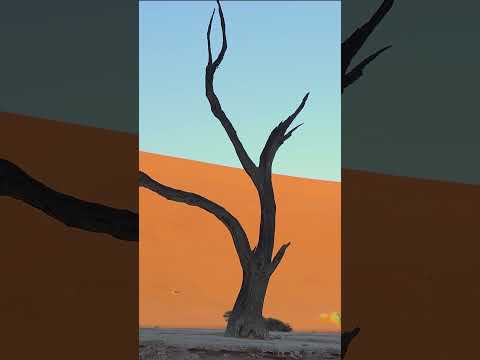 Deadvlei, Namibia.