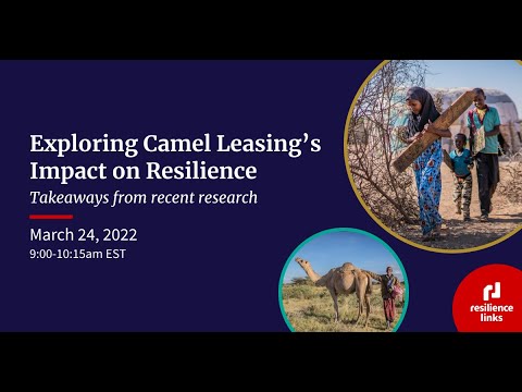 WEBINAR | Exploring Camel Leasing's Impact on Resilience