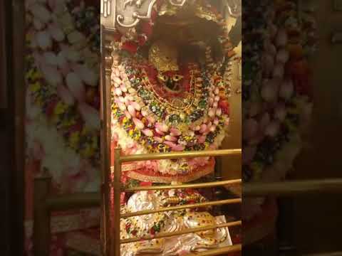 माँ विंध्यवासिनी जी की live आरती के माध्यम से दर्शन कर के उनका आशीर्वाद प्राप्त करें।