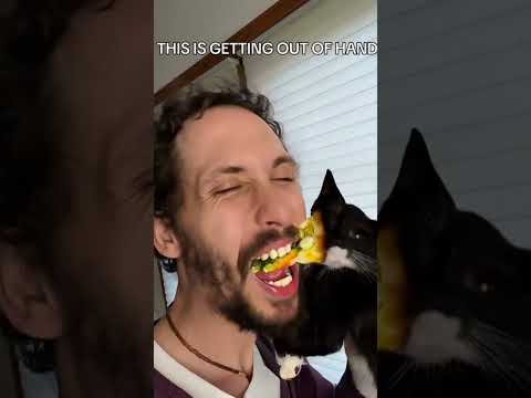 Help support my channel! #help #supoortme #believe #family #meow #cat #food