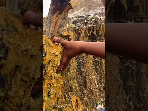 Real Gold Discovered Inside This Rock! 😱✨