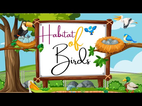 HABITAT OF BIRDS/BIRDS/SCIENCE CLASS/GRADE 3