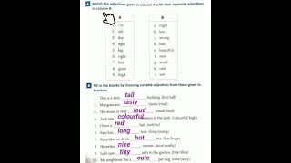 Class 2 - Worksheet 5 & 6