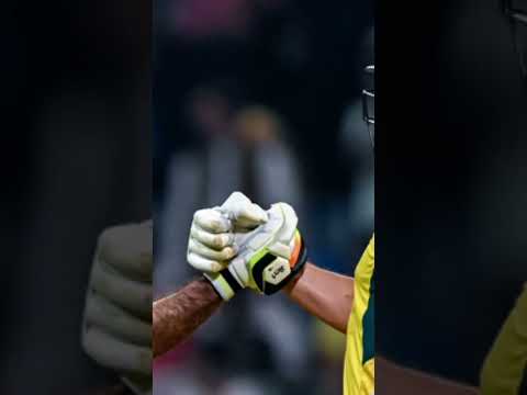 Australia semi final #cricket #ipl #rcbians #shortvideo #viralshorts