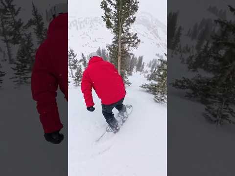 How to ride through trees safely ​⁠@outdoormasterUS ​⁠@clewsnowboarding #snowboarding