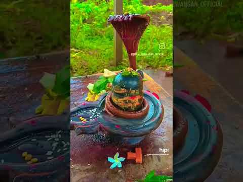 ॐ नमः शिवाय 🔱🚩 #instagram #indiansong #jaishreeram #jaibholenath #omnamahshivaya #viralvideo #viral