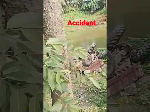 Teactor Accident 2023