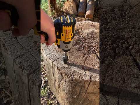 DeWalt DCF845 XR impact driver driving a 9 inch log screw #dewalttough