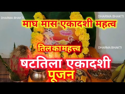 षटतीला एकादशी पूजन| shattila aekadashi pujan vidhi|shattila aekadashi vrat Katha|magh Maas aekadashi