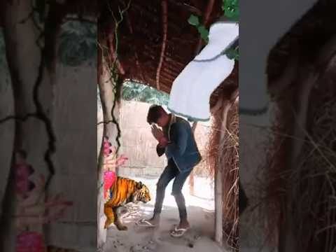 Jay man Kali 🙏🌺 #trending #short #video #viral #youtubeshorts