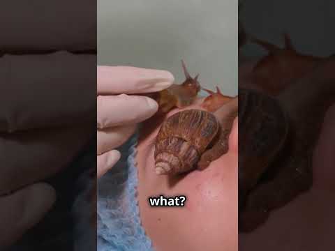 Snail Slime Skincare? #SnailSlime #SkincareSecrets #GlowingSkin #BeautyTips