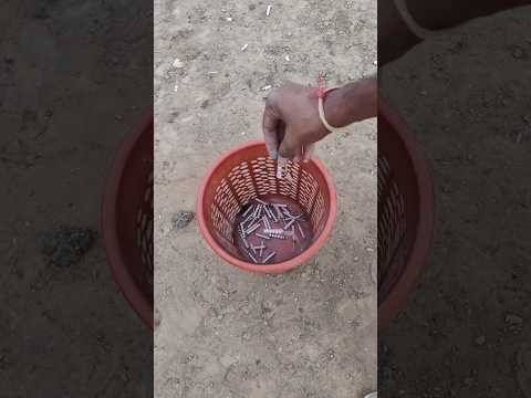 Jali wali balti me ek sath bahut sare Patakhe jalaye ll #new #experiment #patakhaexperiment #science