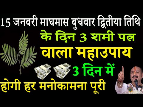 15 जनवरी माघमास बुधवार द्वितीया तिथि को 3 शमी के पत्ते वाला उपाय जरूर करे || Pradeep Ji Mishra