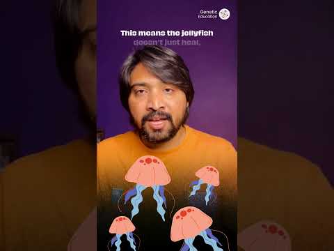 This Organism Can Live Forever! ♾️🧬