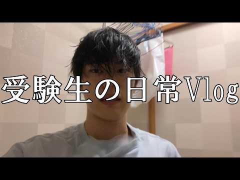 【study vlog】 全くキラキラしていない受験生の日常