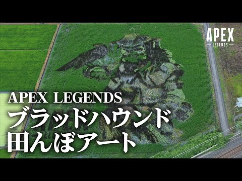 Apex Legendsブラッドハウンド田んぼアート