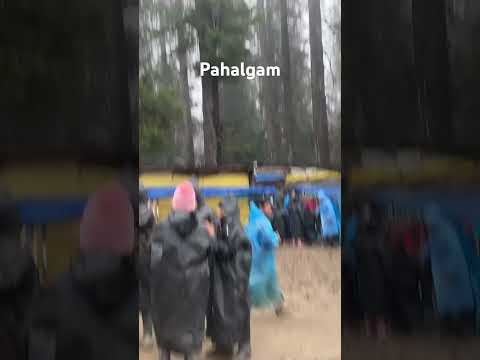 Pahalgam Before Attack #pahalgam #kashmirdiaries #kashmirvalley