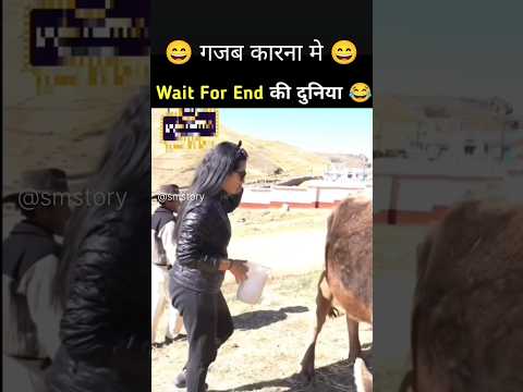 गजब कारनामे 😄 wait for and facts #facts #shots