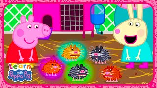 Learning More And Less With Peppa Pig 🔢 Educational Videos for Kids 📚 Learn With Peppa Pig