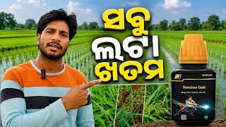 Nominee Gold କେମିତି ଦେବେ? 100% Result ପାଇଁ Full Guide
