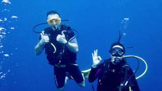 Colombo Divers (Perseus and Clarke wrecks)