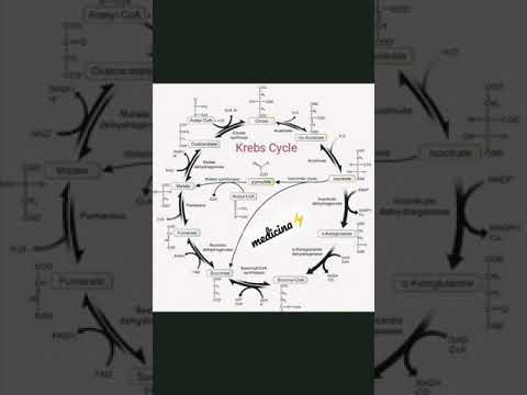 KREBS CYCLE | NEET TRICKS❤#Shorts #Neet #Mbbs #Neet2021 #Neet2022 #Neet2023 #Aiims #Aiimsdelhi #Mamc
