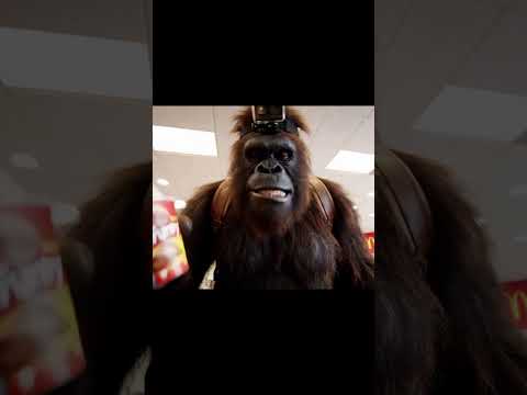 McDonald’s Mukbang with Bigfoot & Yeti Vlogs #mukbang #mcdonalds