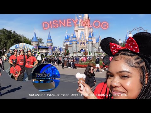 spend 24hrs at DISNEY with me | surprise family trip, resort tour, riding rides, & more