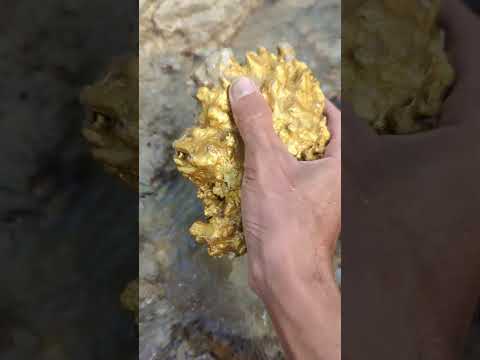 Wow amazing gold discovery #goldhunter #minergold