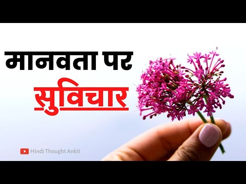 मानवता पर सुविचार || Aaj ka Suvichar || Motivational Suvichar || Anmol Vichar || Hindi Thought