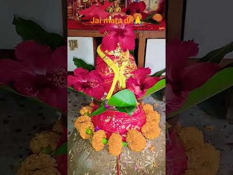 #festival #durgapuja #navratrispecial #music #patnadiaries #kolkata #prasad  #song#bhagti_bhajan