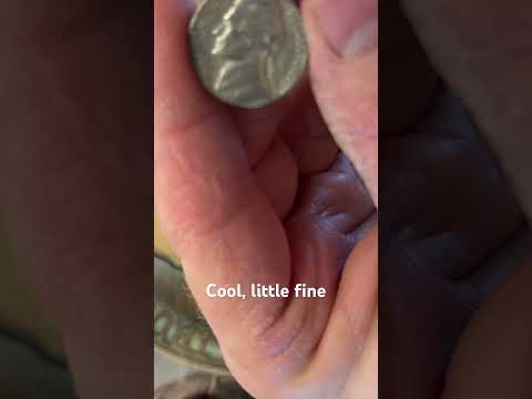 #coin  #coins #money