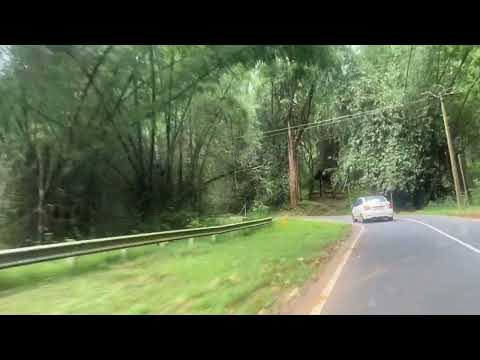 Wayanad Forest Driving