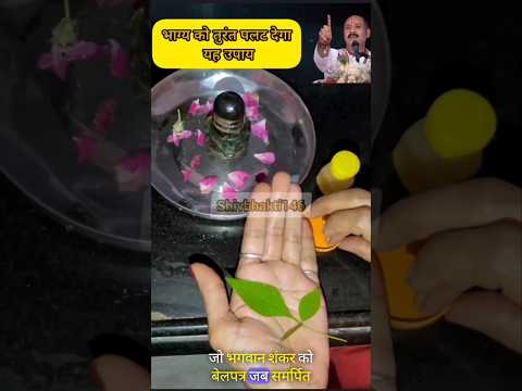 भाग्य को पलट देने वाला उपाय | Pradeep Mishra Ke Upay| #pradeepmishra