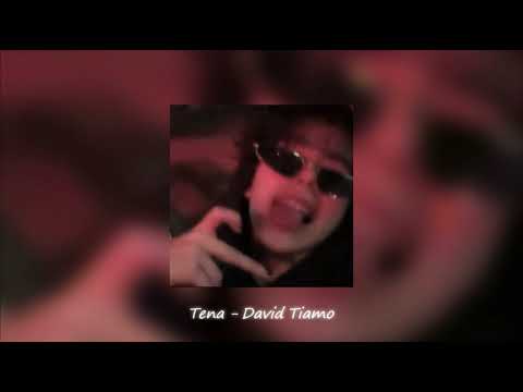 Tena ft David Tiamo ( មនុស្សពិសេស​ ) //speed up//