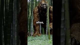 ¿QUIÉN GANARÍA? ¡Gigantopithecus vs Gorila! #batallaépica #animales #naturaleza