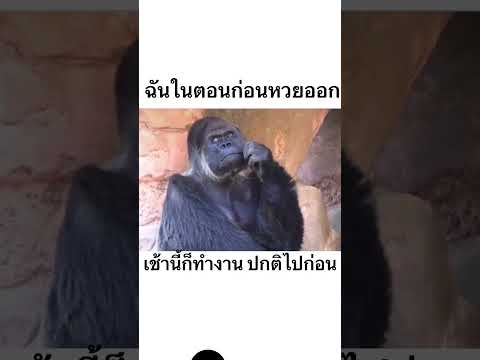 ฉันก่อนหวยจะออก :  คนไทยทุกคนเป็นเหมือนกันใช่ไหม